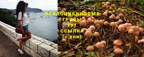 mix Аркадак