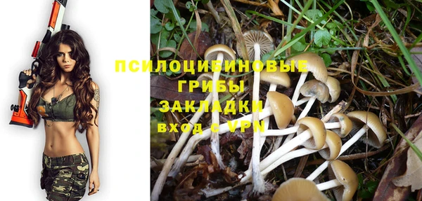 бошки Армянск