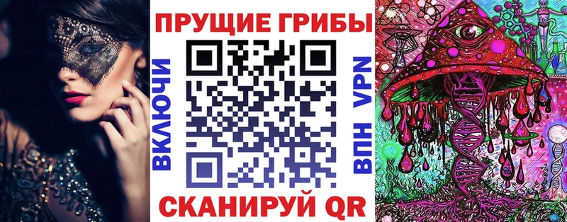 наркотики  гидра вход  Галлюциногенные грибы Psilocybine cubensis  Россошь 